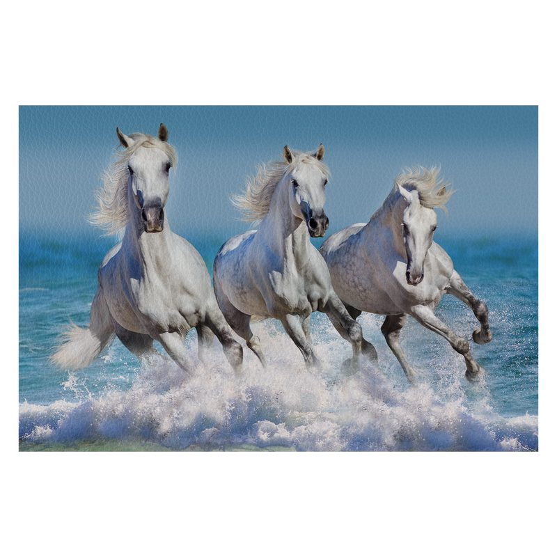 Three white horse run gallop in waves in the ocean