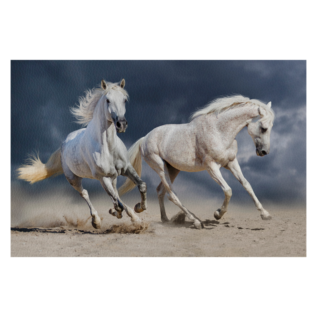 Couple of horse run against cloudy blue sky