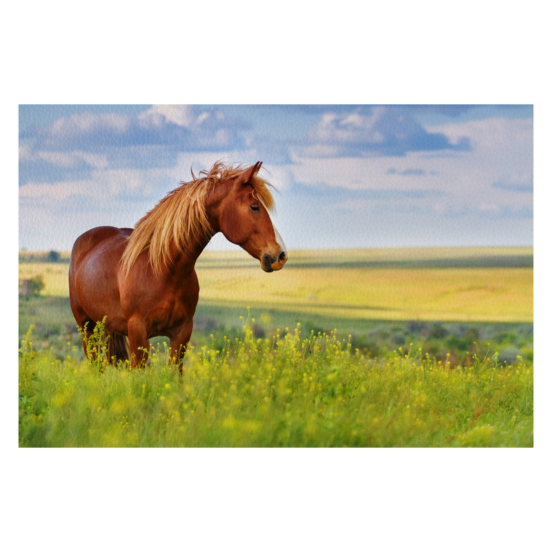 Red horse with long mane in flower field against sk