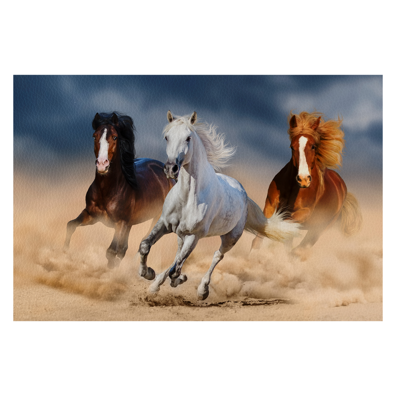 Three horse with long mane run gallop in desert