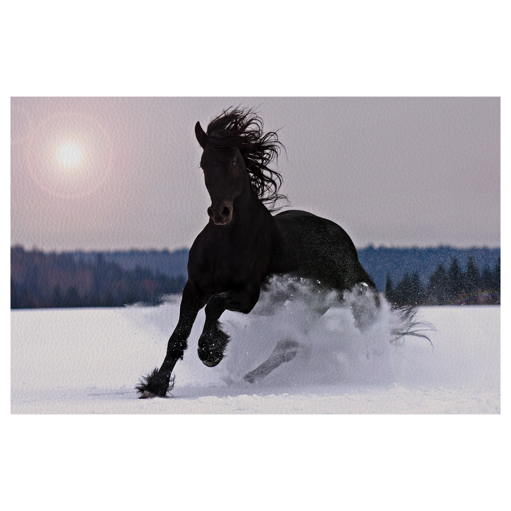 Frisian horse on snow