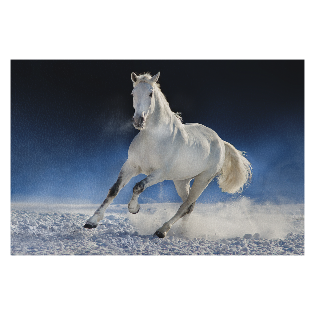 White horse run in snow field against dark background