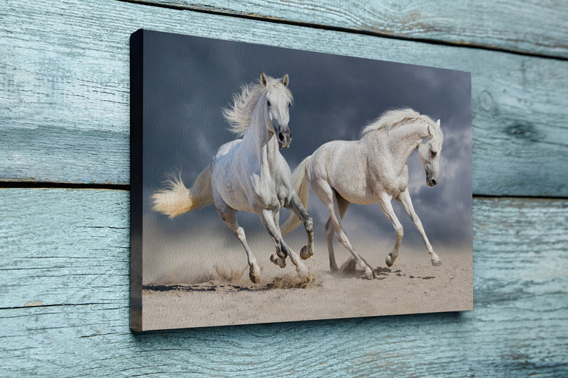 Couple of horse run against cloudy blue sky