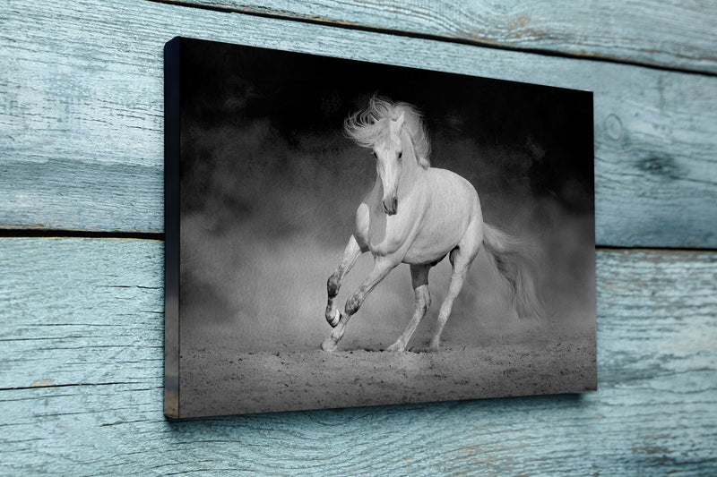 Horse in motion in desert against dramatic dark background. Black and white picture