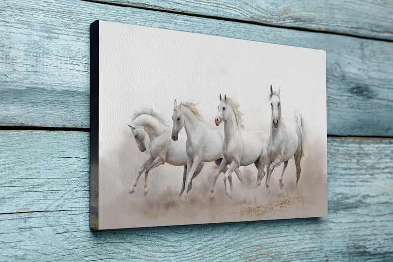 White horse run in snow field against dark background