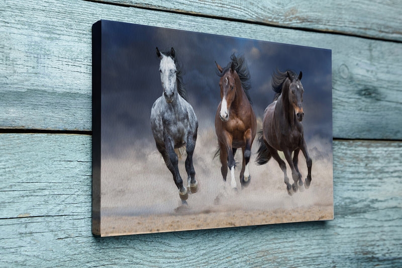 Horse herd run free on desert dust against storm sky