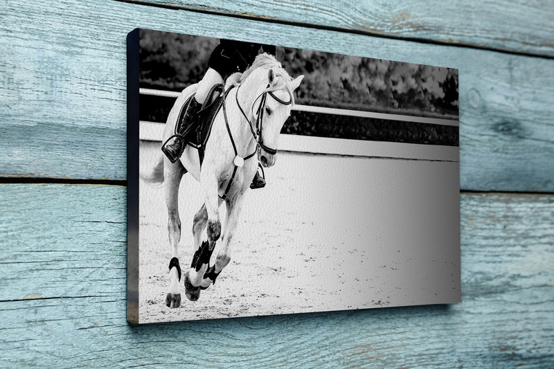 Horse and rider, black and white banner or header, billboard, duo tone.