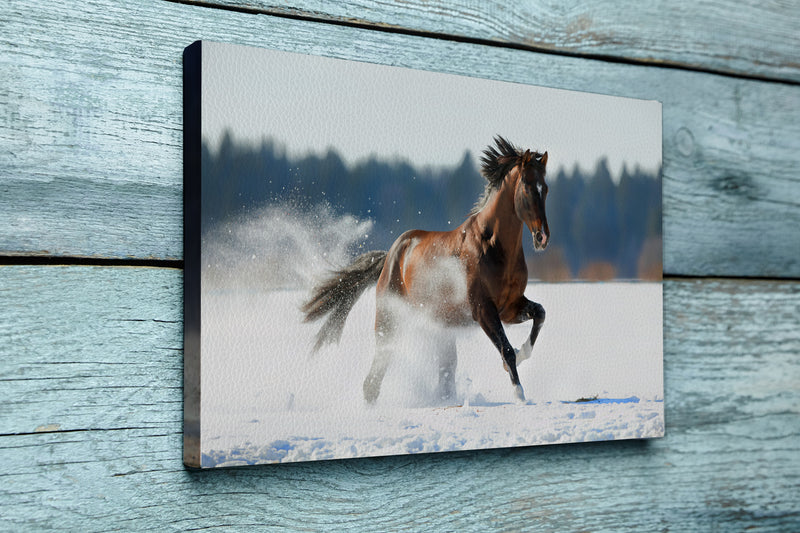 Brown horse runs in winter landscape