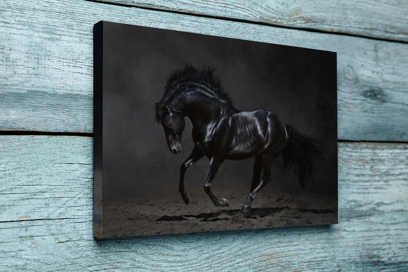 Galloping black horse on dark background