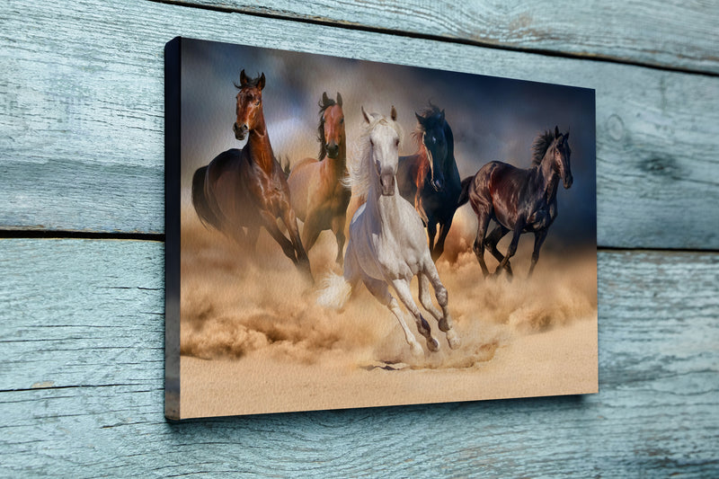 Horse herd run in desert sand storm against dramatic sky