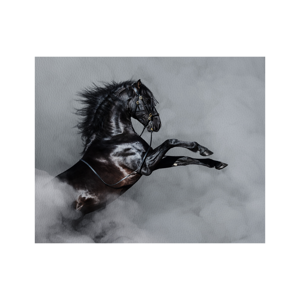 Black Andalusian horse rearing in smoke.