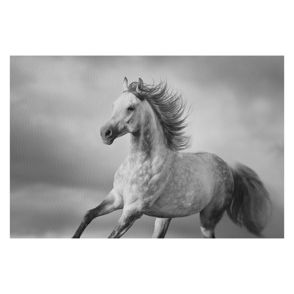 Arabian horse portrait with long mane in motion. Black and white