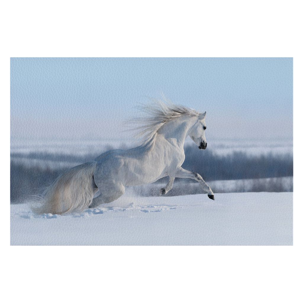 White horse with long mane galloping across winter meadow.