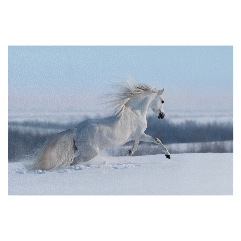 White horse with long mane galloping across winter meadow.