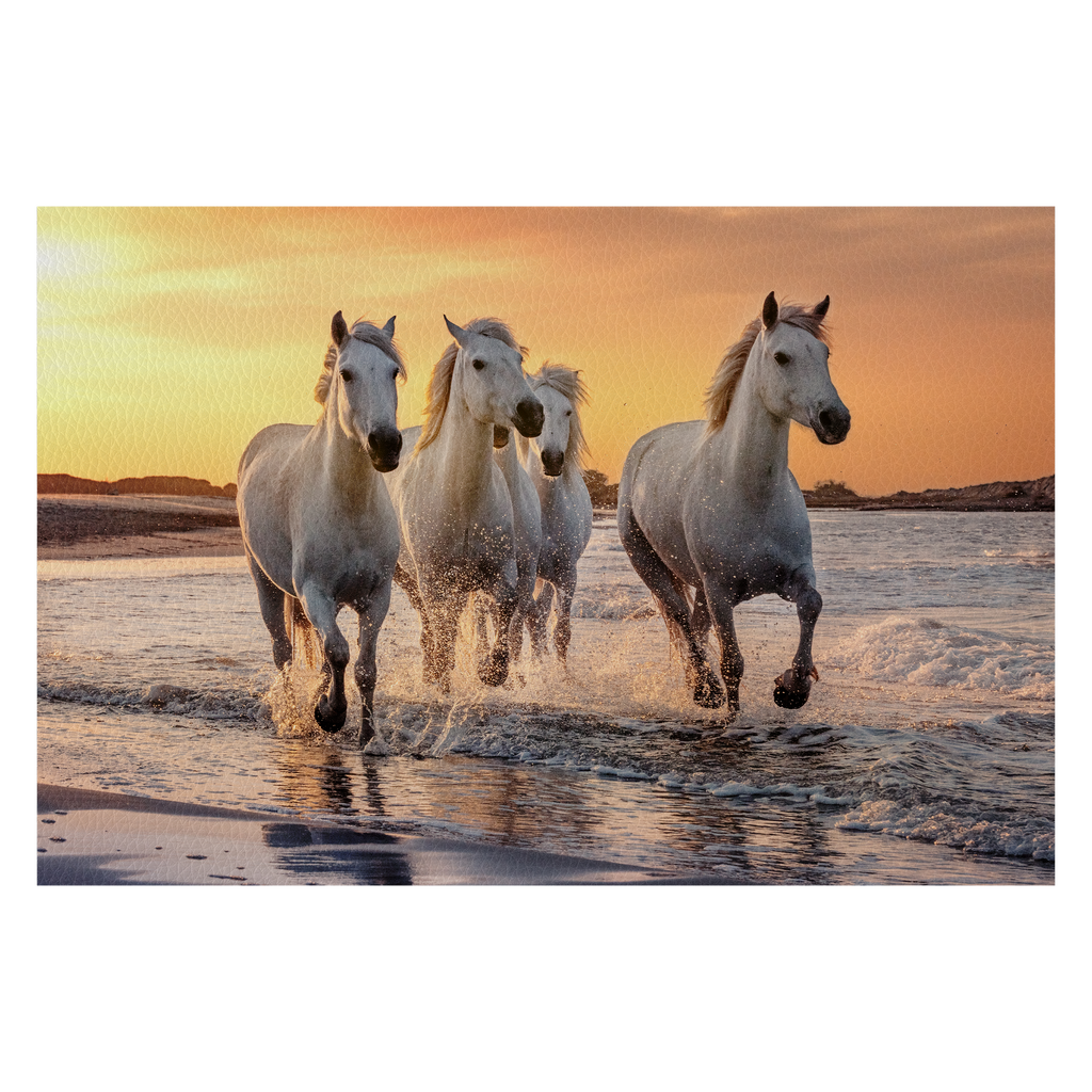 White horses in Camargue, France.