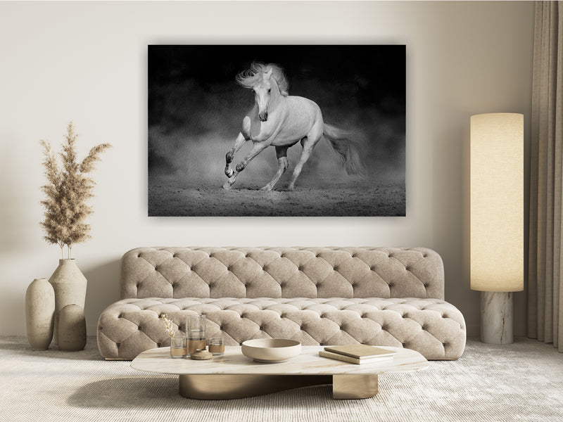 Horse in motion in desert against dramatic dark background. Black and white picture