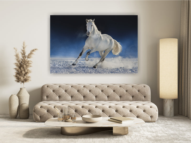 White horse run in snow field against dark background