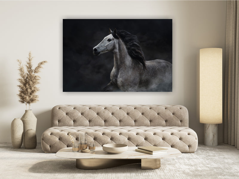 White horse portrait with long mane on dark background