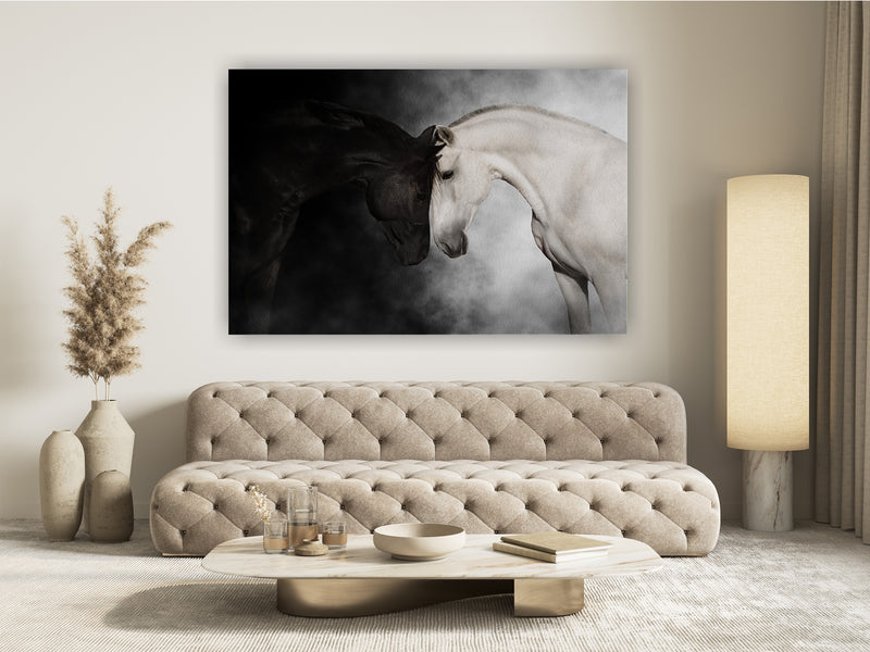 Black and white horse cople portrait