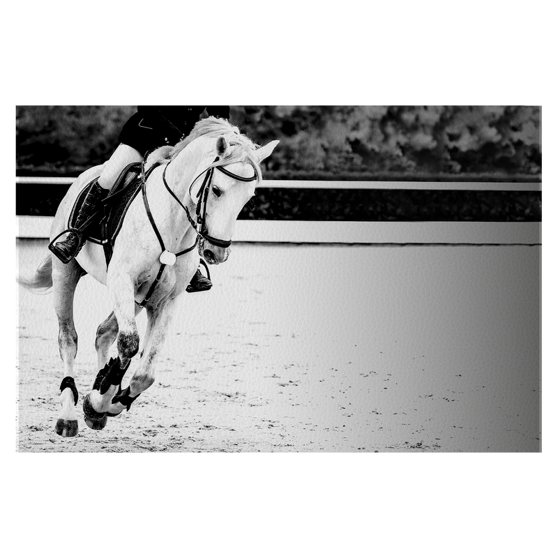 Horse and rider, black and white banner or header, billboard, duo tone.