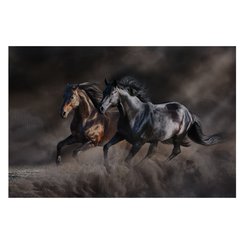 Two horse run gallop in desert storm