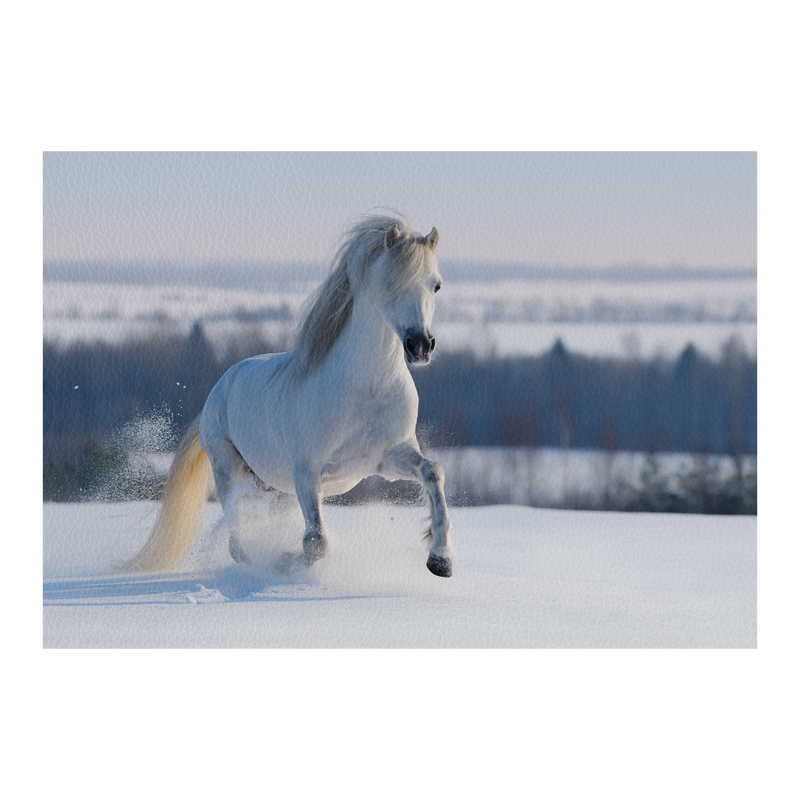 Copia del White horse in sunset