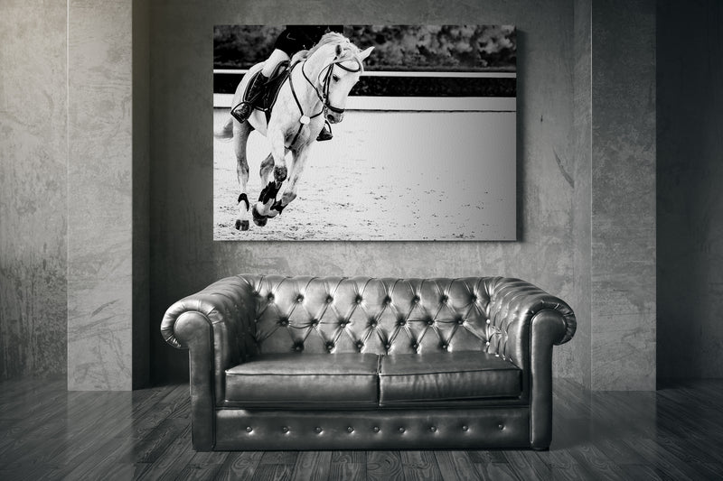 Horse and rider, black and white banner or header, billboard, duo tone.