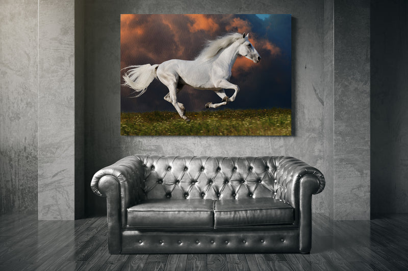 White horse runs on the dark sky background