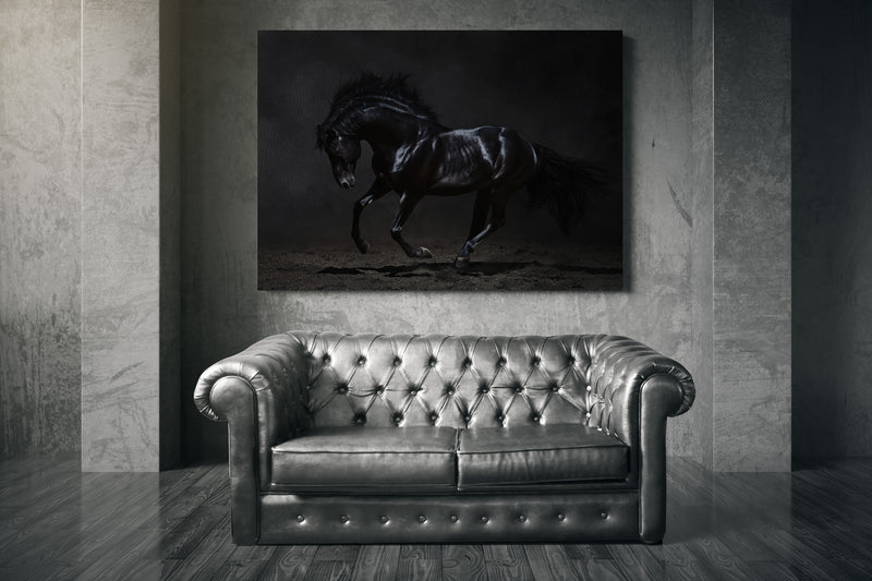 Galloping black horse on dark background