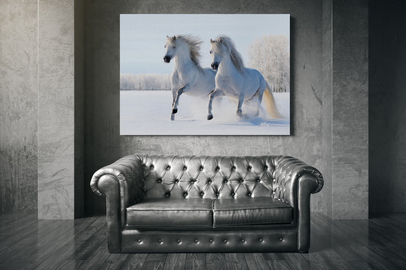 Two white horses gallop on snow field