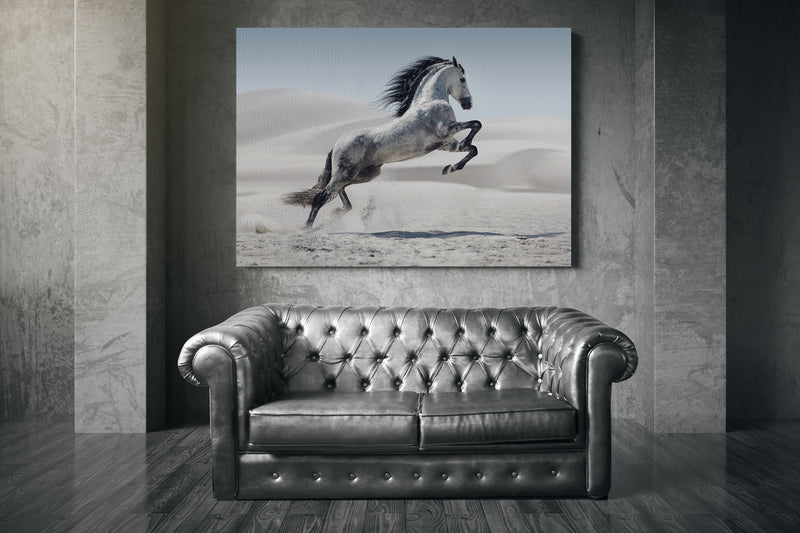 Picture presenting the galloping white horse