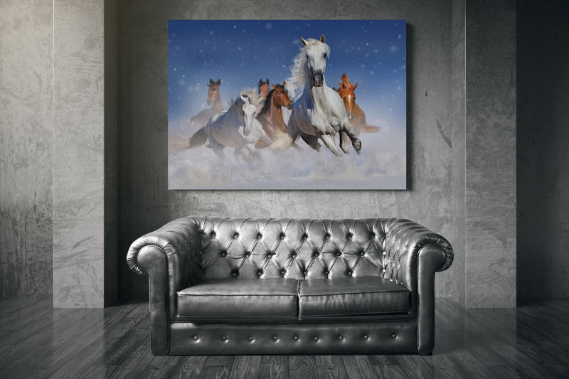 Horse herd run fast in winter snow field