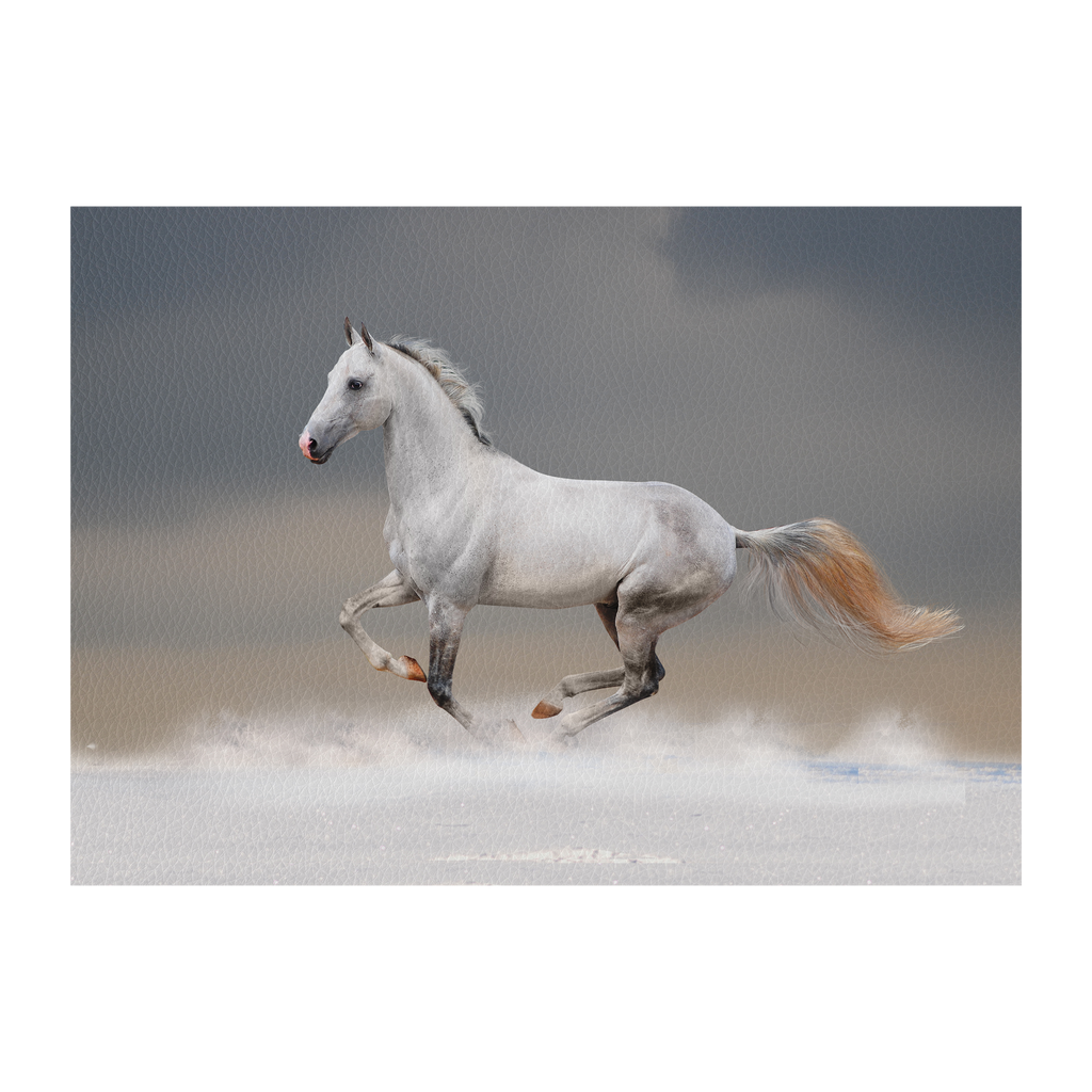 White horse in winter field