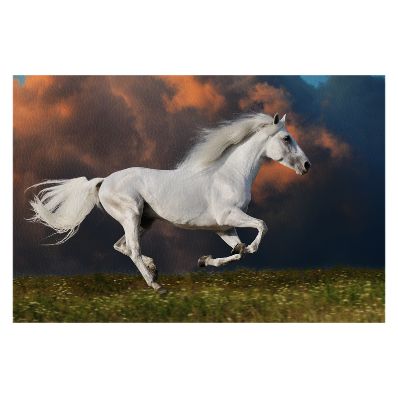 White horse runs on the dark sky background