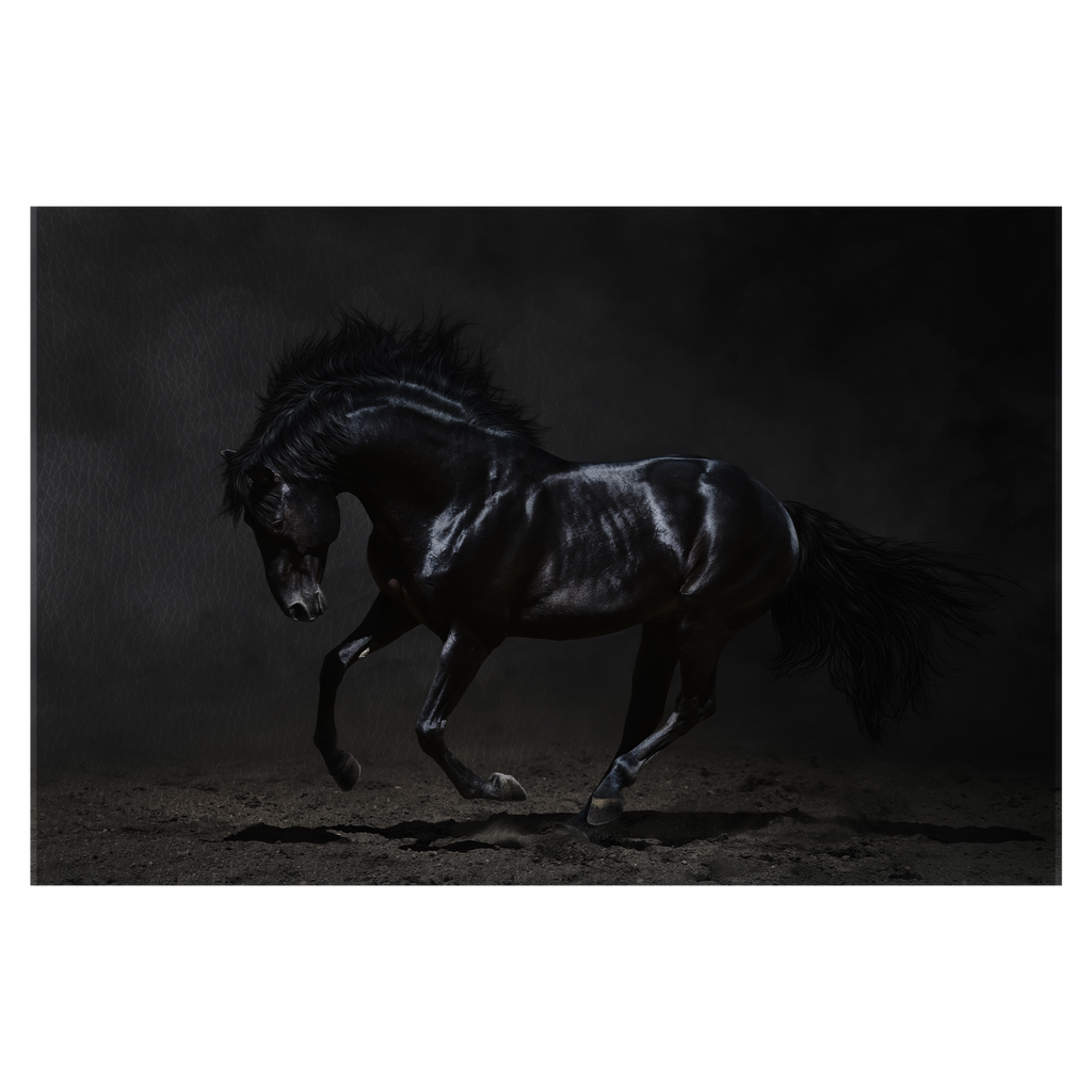 Galloping black horse on dark background