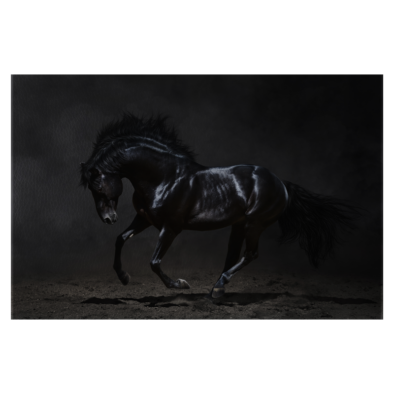 Galloping black horse on dark background