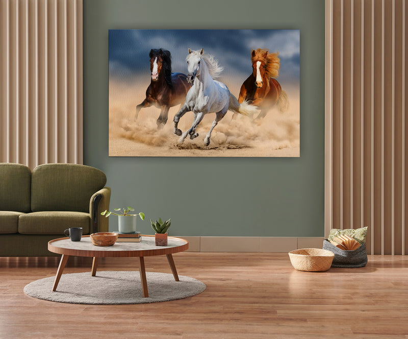 Three horse with long mane run gallop in desert