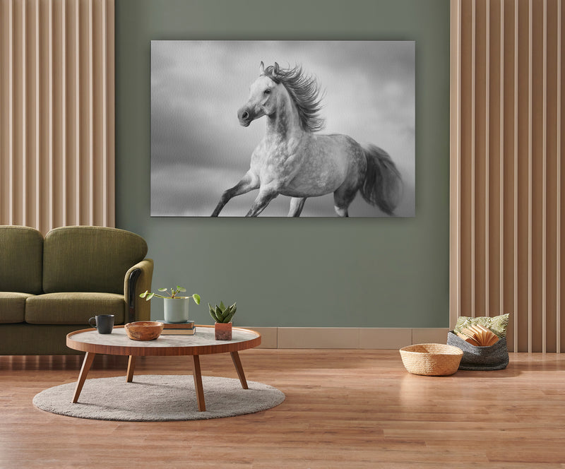 Arabian horse portrait with long mane in motion. Black and white