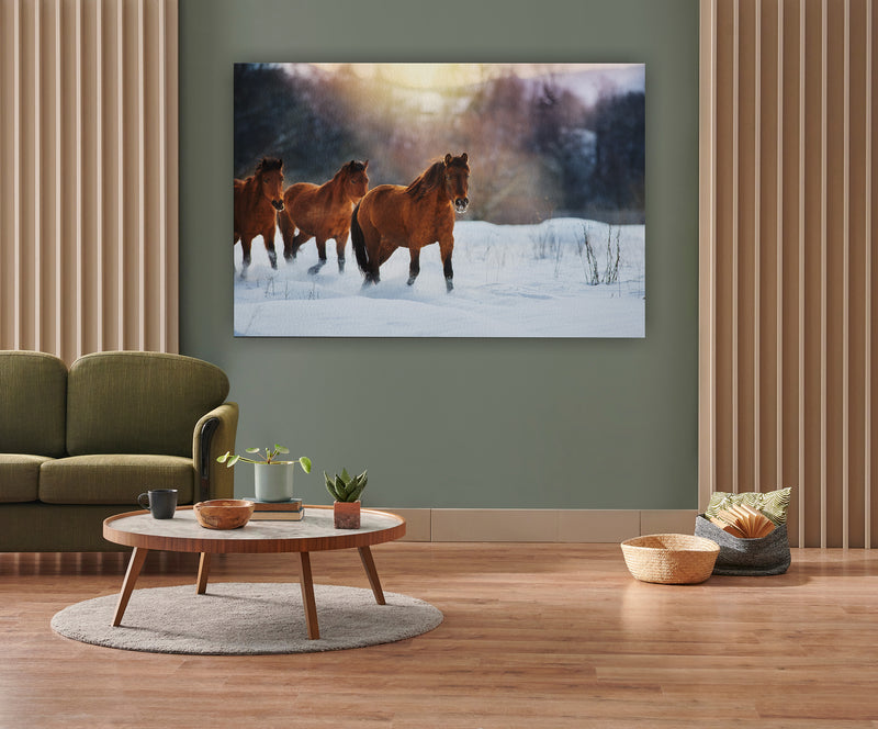 Bay horse herd in winter landscape at sunset