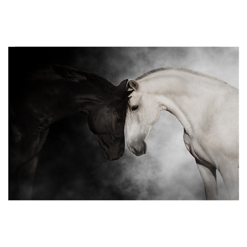 Black and white horse cople portrait