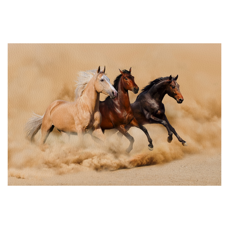 Three horse run in desert sand storm