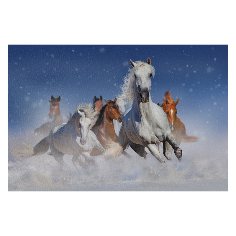 Horse herd run fast in winter snow field